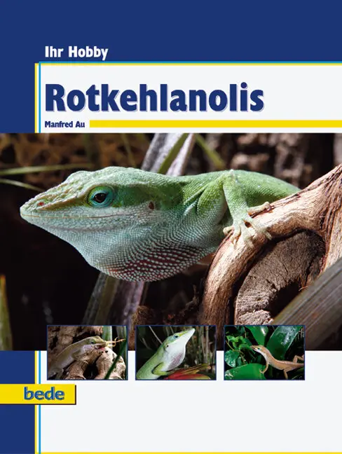 Cover: 9783898601634 | Rotkehlanolis | Manfred Au | Buch | 96 S. | Deutsch | 2008 | Bede