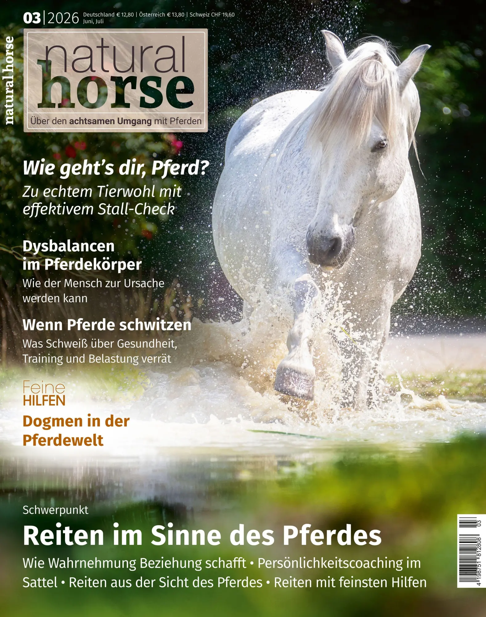 Cover: 9783958471634 | Natural Horse 63 Pferdegerechtes Reiten | Martina Kiss | Taschenbuch