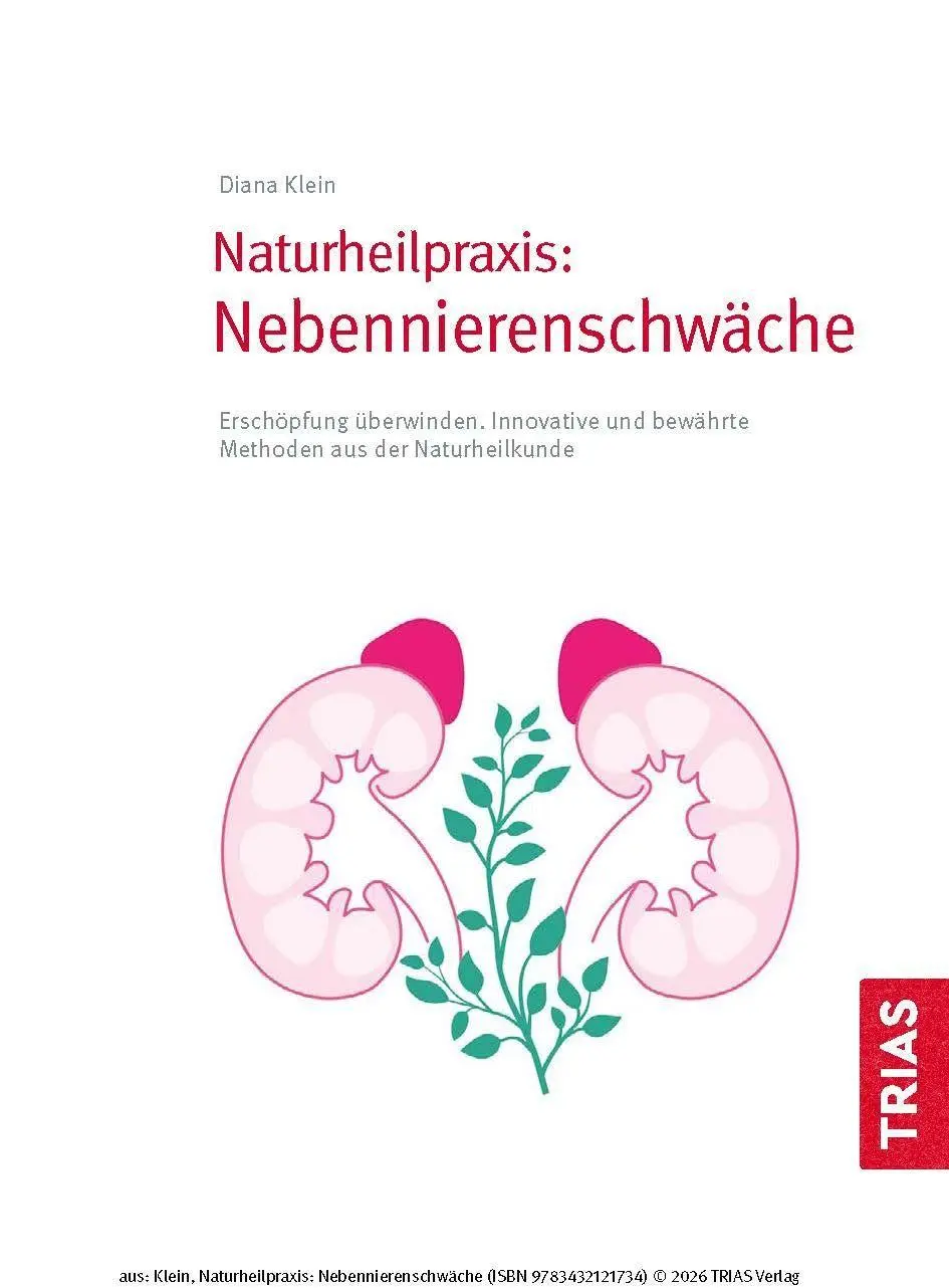 Bild: 9783432121734 | Naturheilpraxis Nebennierenschwäche | Diana Klein | Taschenbuch | 2026