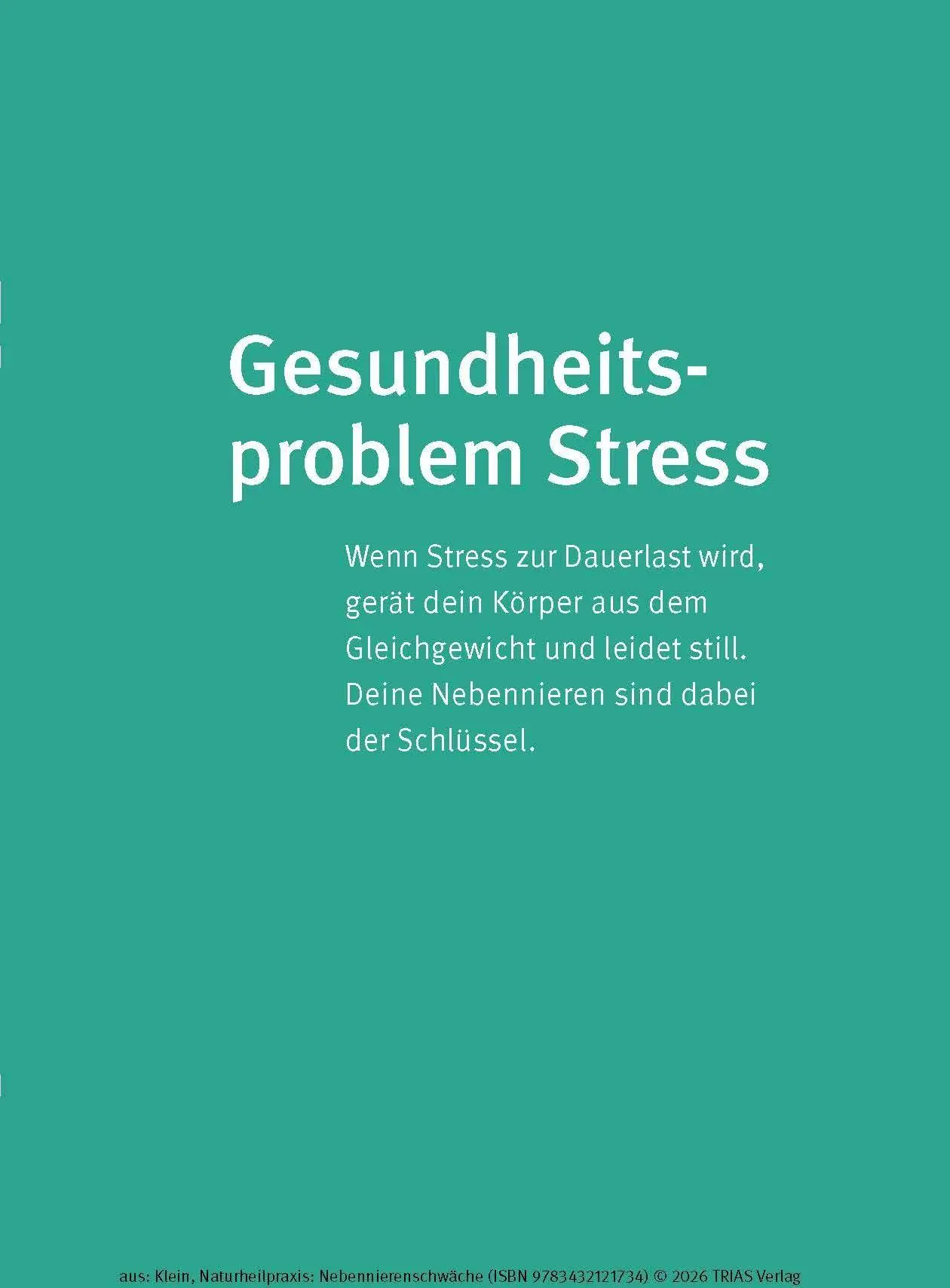 Bild: 9783432121734 | Naturheilpraxis Nebennierenschwäche | Diana Klein | Taschenbuch | 2026
