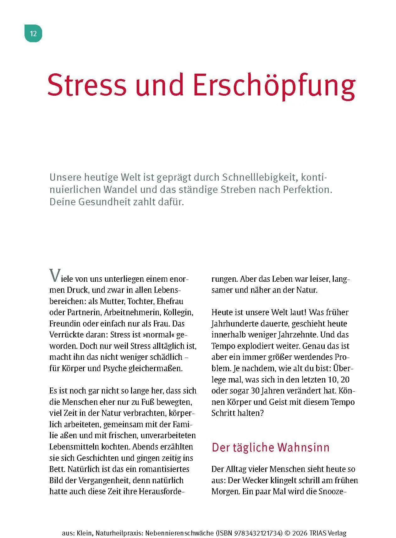 Bild: 9783432121734 | Naturheilpraxis Nebennierenschwäche | Diana Klein | Taschenbuch | 2026
