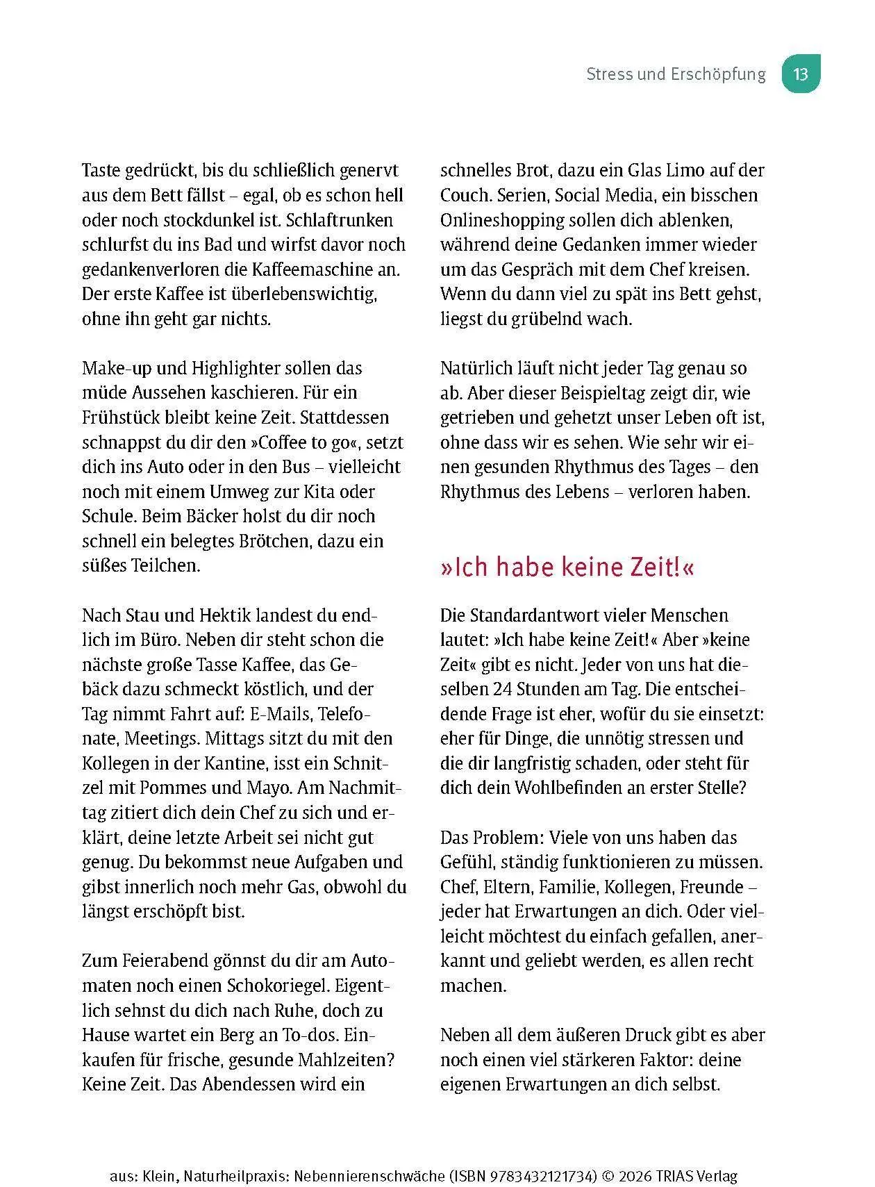 Bild: 9783432121734 | Naturheilpraxis Nebennierenschwäche | Diana Klein | Taschenbuch | 2026
