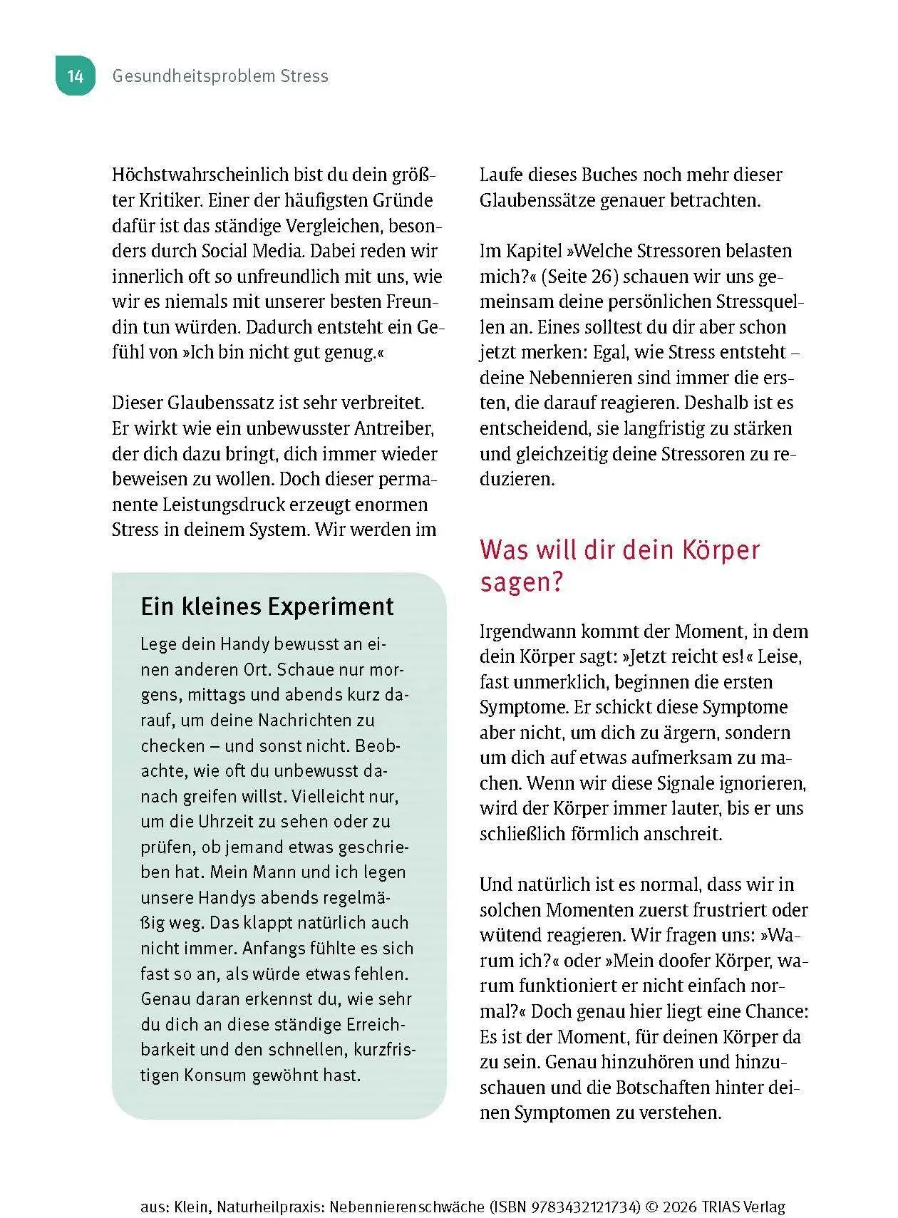 Bild: 9783432121734 | Naturheilpraxis Nebennierenschwäche | Diana Klein | Taschenbuch | 2026