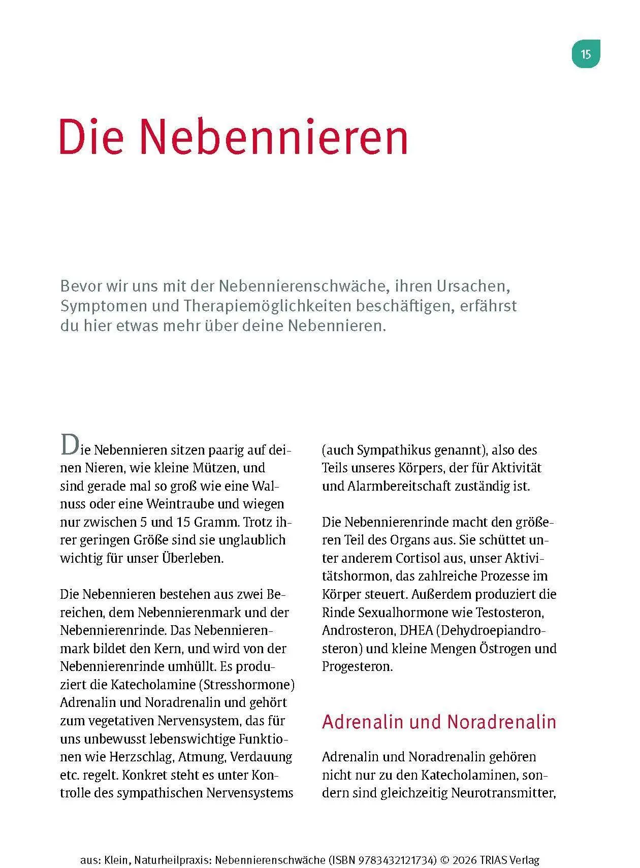 Bild: 9783432121734 | Naturheilpraxis Nebennierenschwäche | Diana Klein | Taschenbuch | 2026