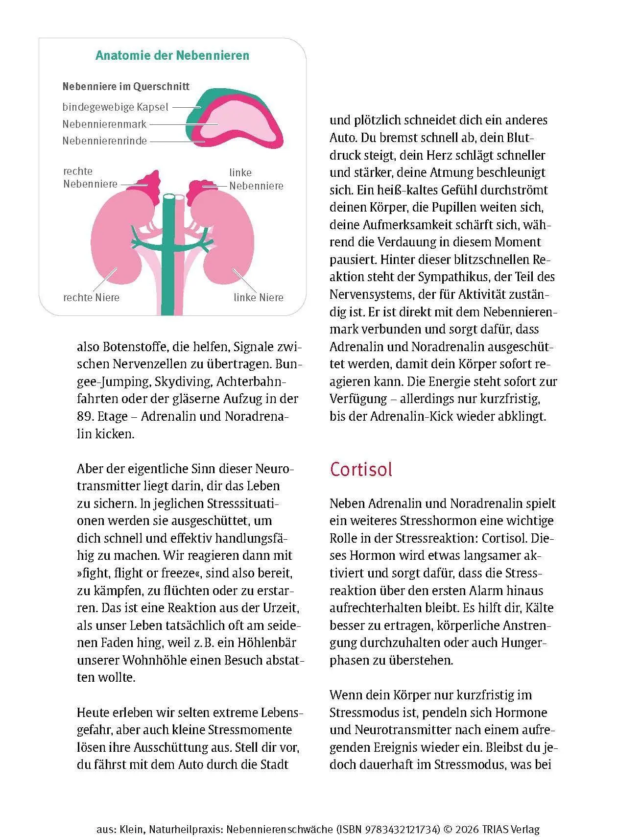 Bild: 9783432121734 | Naturheilpraxis Nebennierenschwäche | Diana Klein | Taschenbuch | 2026