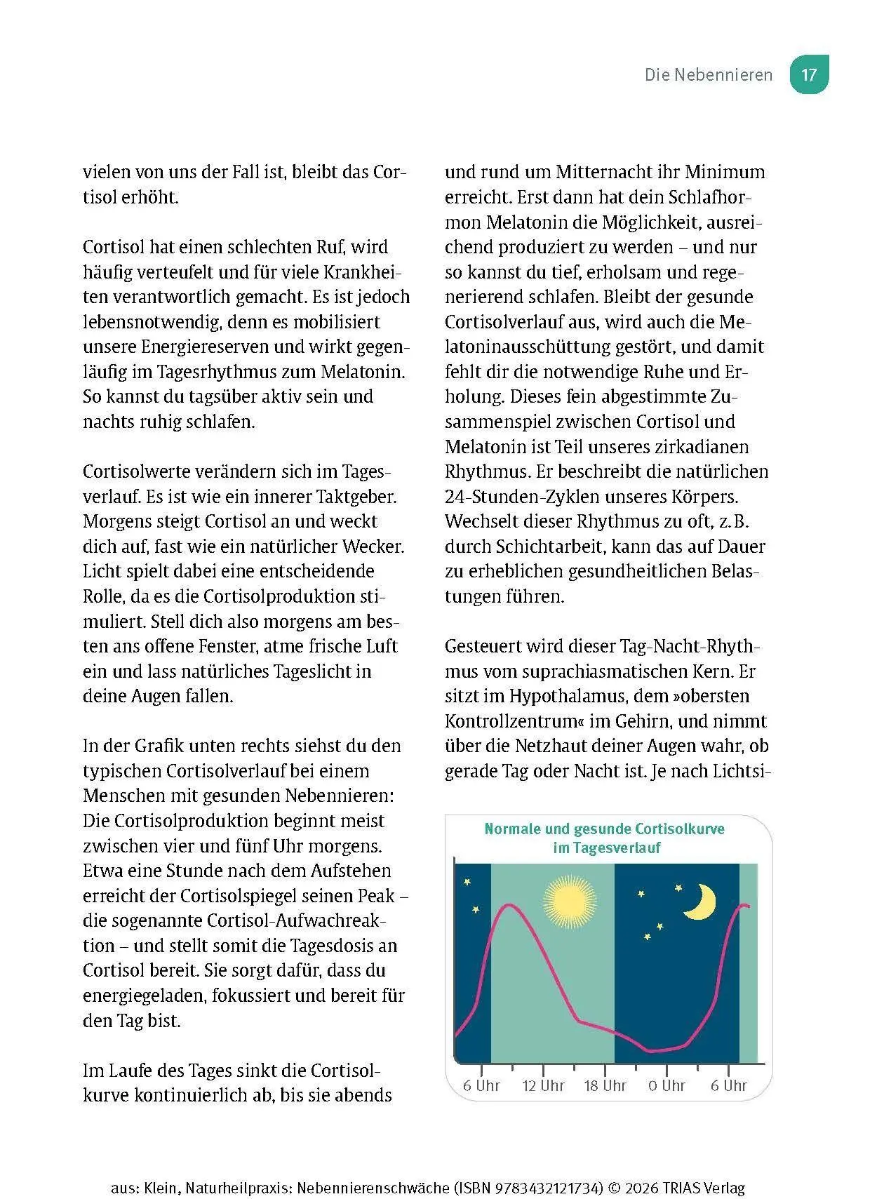 Bild: 9783432121734 | Naturheilpraxis Nebennierenschwäche | Diana Klein | Taschenbuch | 2026