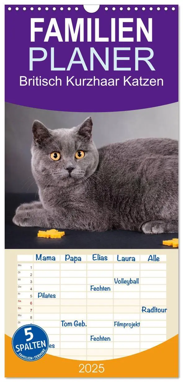 Cover: 9783457111734 | Familienplaner 2025 - Britisch Kurzhaar Katzen mit 5 Spalten...