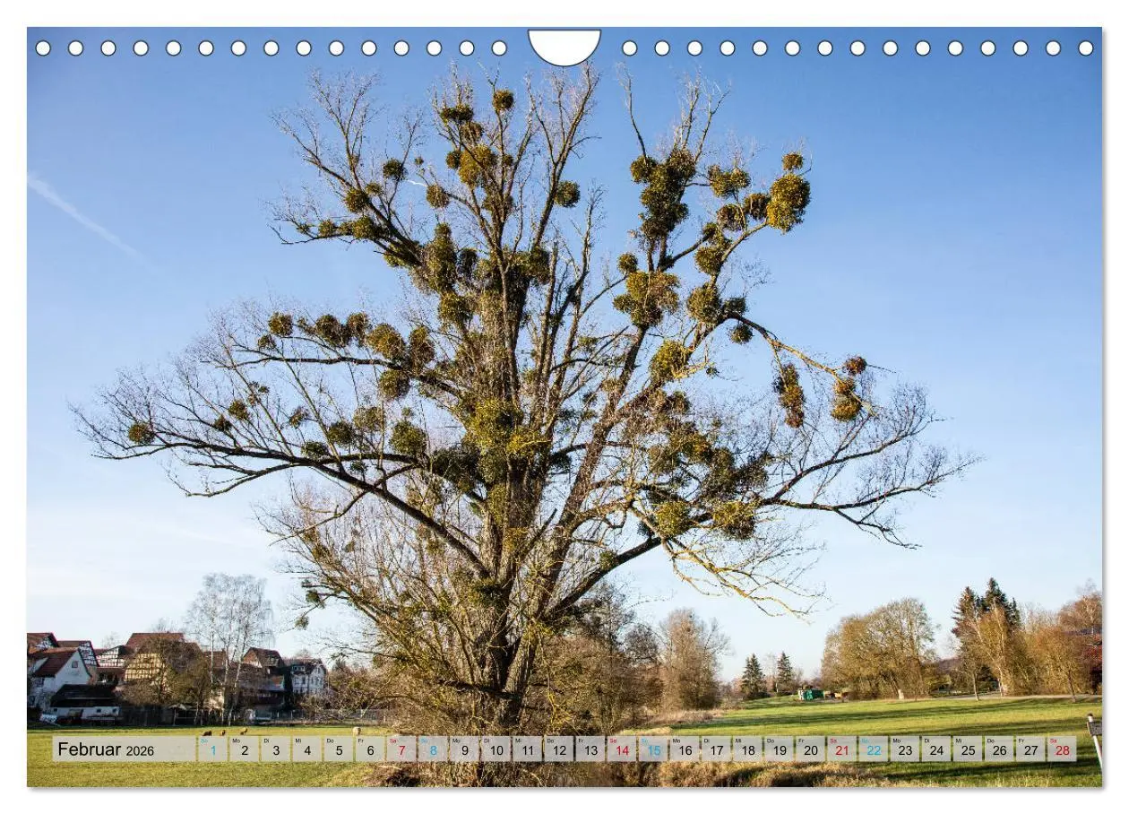 Bild: 9783457731734 | Ins Land der Franken fahren (Wandkalender 2026 DIN A4 quer),...
