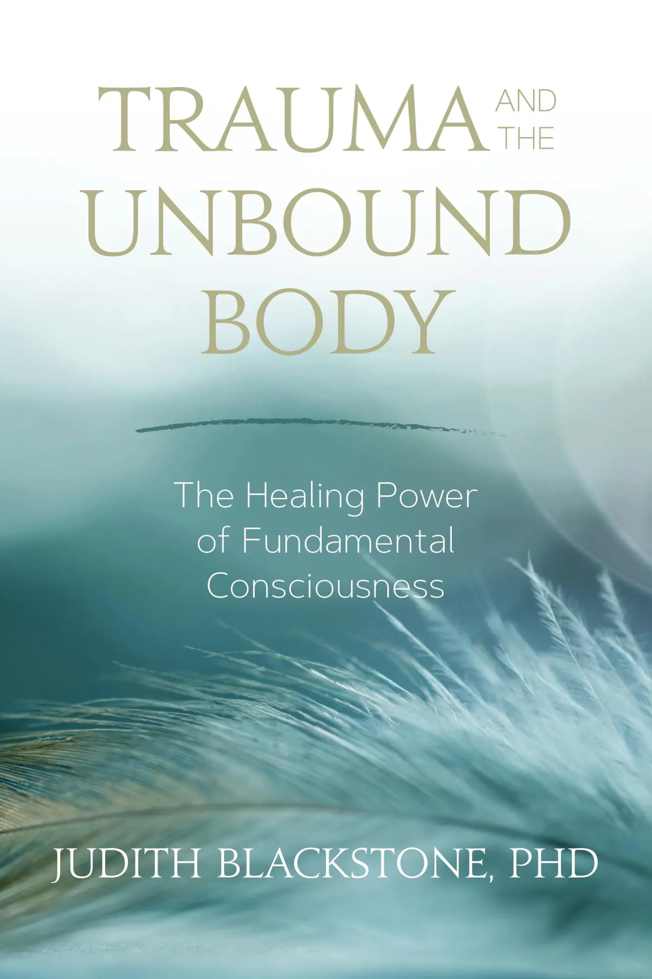 Cover: 9781683641834 | Trauma and the Unbound Body | Judith Blackstone | Taschenbuch | 2018