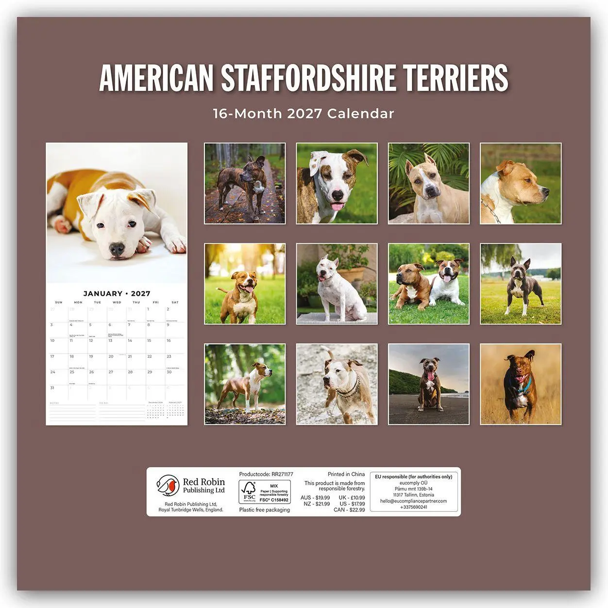 Bild: 9781837011834 | American Staffordshire Terriers - American Staffordshire Terrier...