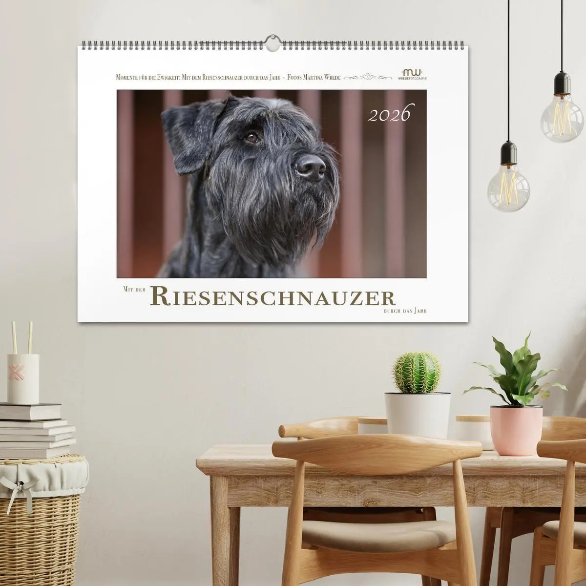 Bild: 9783457401934 | Mit dem Riesenschnauzer durch das Jahr (Wandkalender 2026 DIN A2...