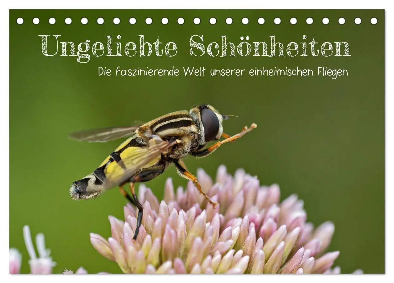 Cover: 9783457571934 | Ungeliebte Schönheiten - die faszinierende Welt unserer heimischen...