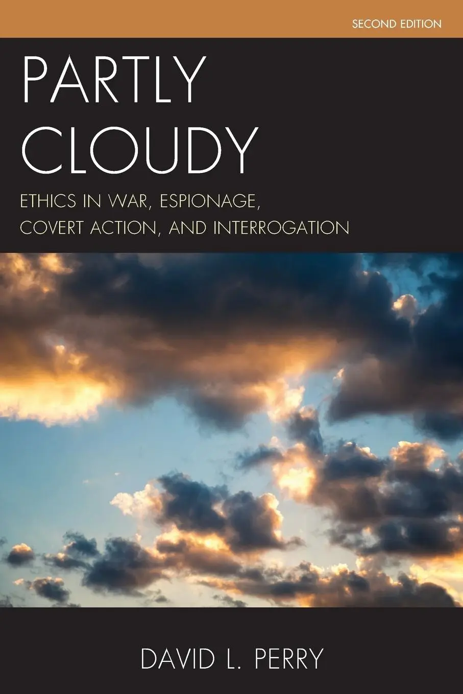 Cover: 9781442262034 | Partly Cloudy | David L. Perry | Taschenbuch | Kartoniert / Broschiert