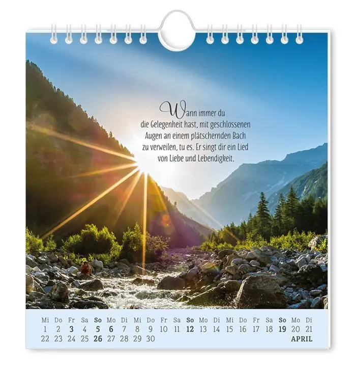 Bild: 9783986362034 | Postkartenkalender 2026 Lebenszeichen | Postkartenkalender | Original