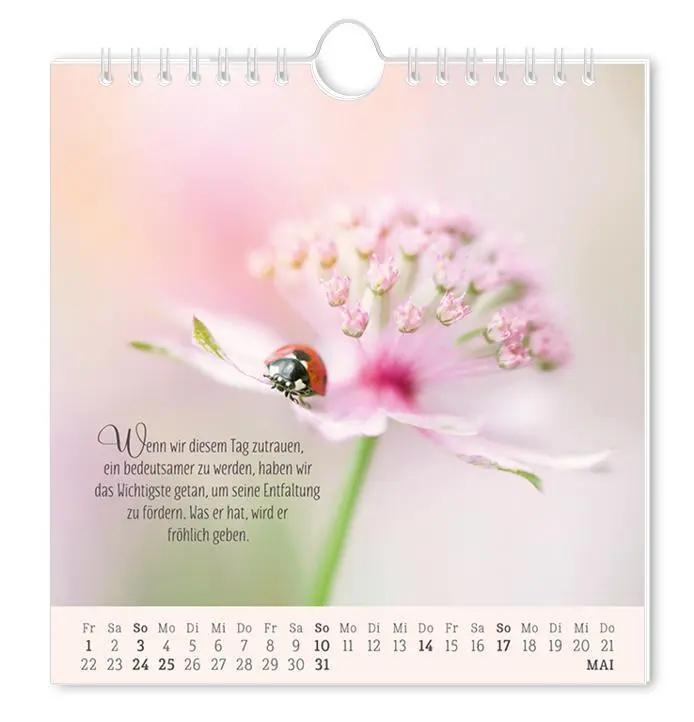 Bild: 9783986362034 | Postkartenkalender 2026 Lebenszeichen | Postkartenkalender | Original