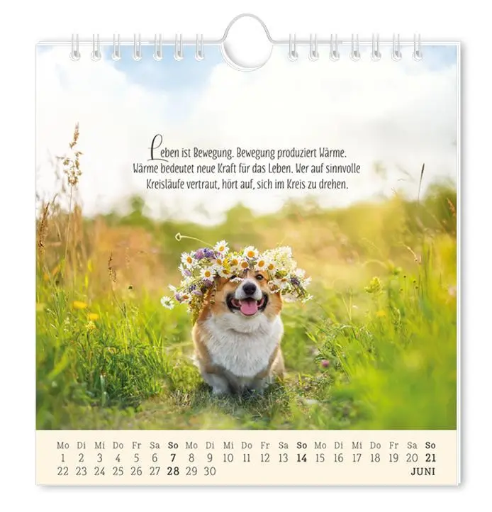 Bild: 9783986362034 | Postkartenkalender 2026 Lebenszeichen | Postkartenkalender | Original