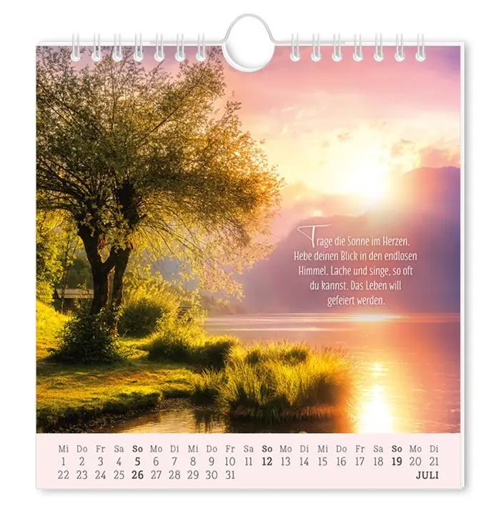 Bild: 9783986362034 | Postkartenkalender 2026 Lebenszeichen | Postkartenkalender | Original