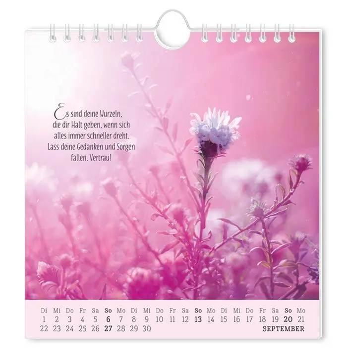 Bild: 9783986362034 | Postkartenkalender 2026 Lebenszeichen | Postkartenkalender | Original