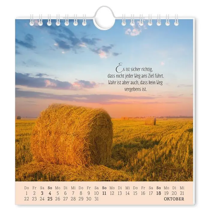 Bild: 9783986362034 | Postkartenkalender 2026 Lebenszeichen | Postkartenkalender | Original