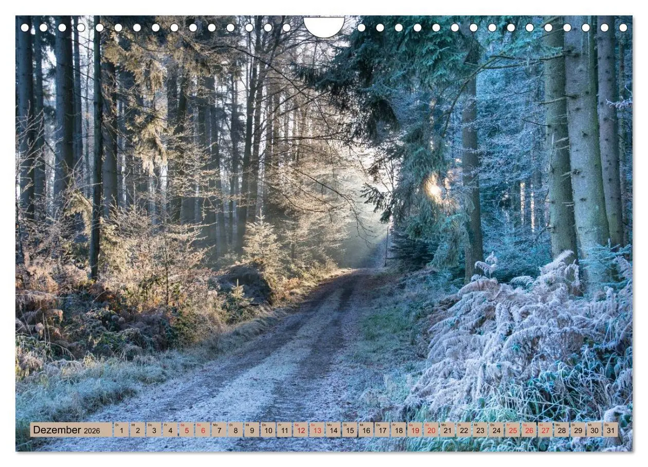 Bild: 9783457752234 | Freiburg Regio (Wandkalender 2026 DIN A4 quer), CALVENDO...