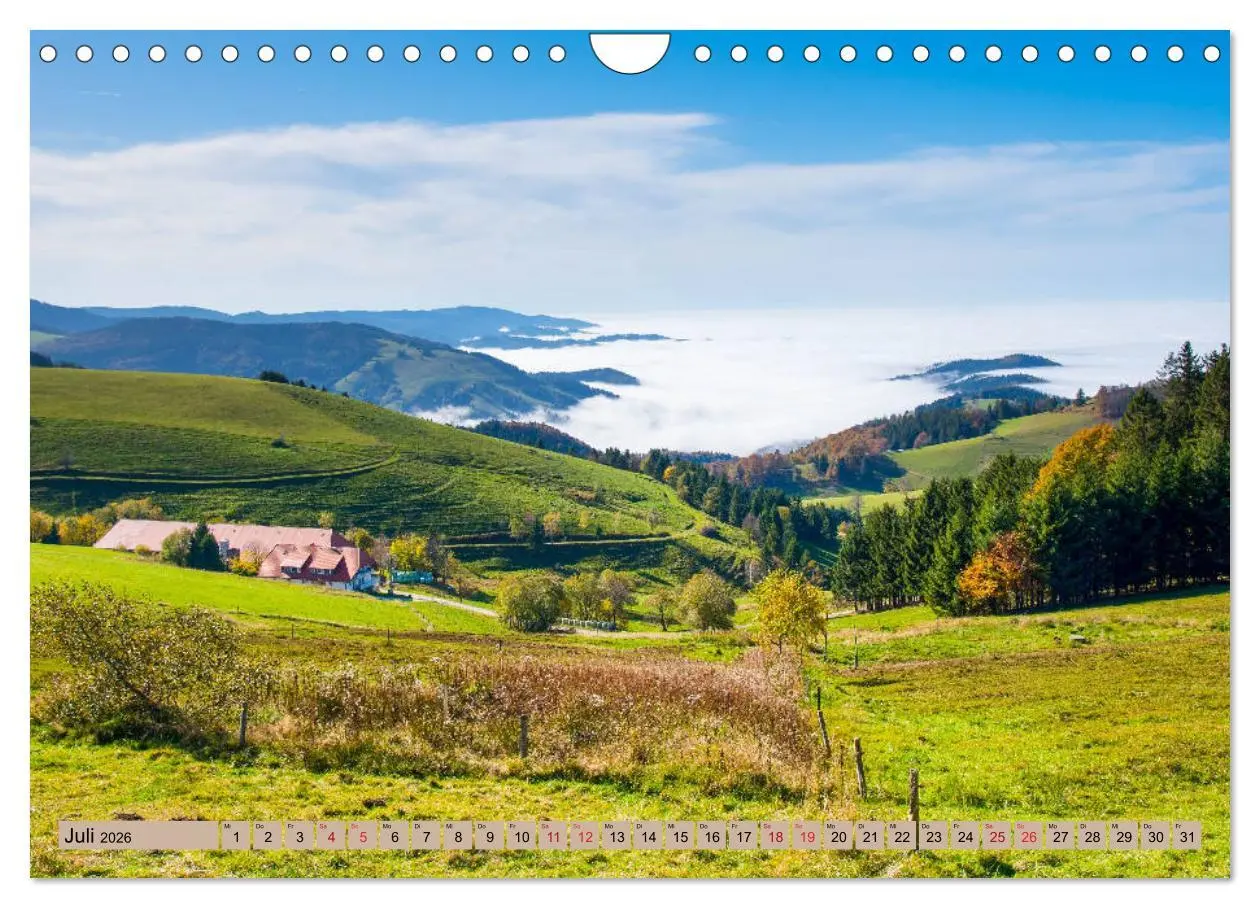 Bild: 9783457752234 | Freiburg Regio (Wandkalender 2026 DIN A4 quer), CALVENDO...