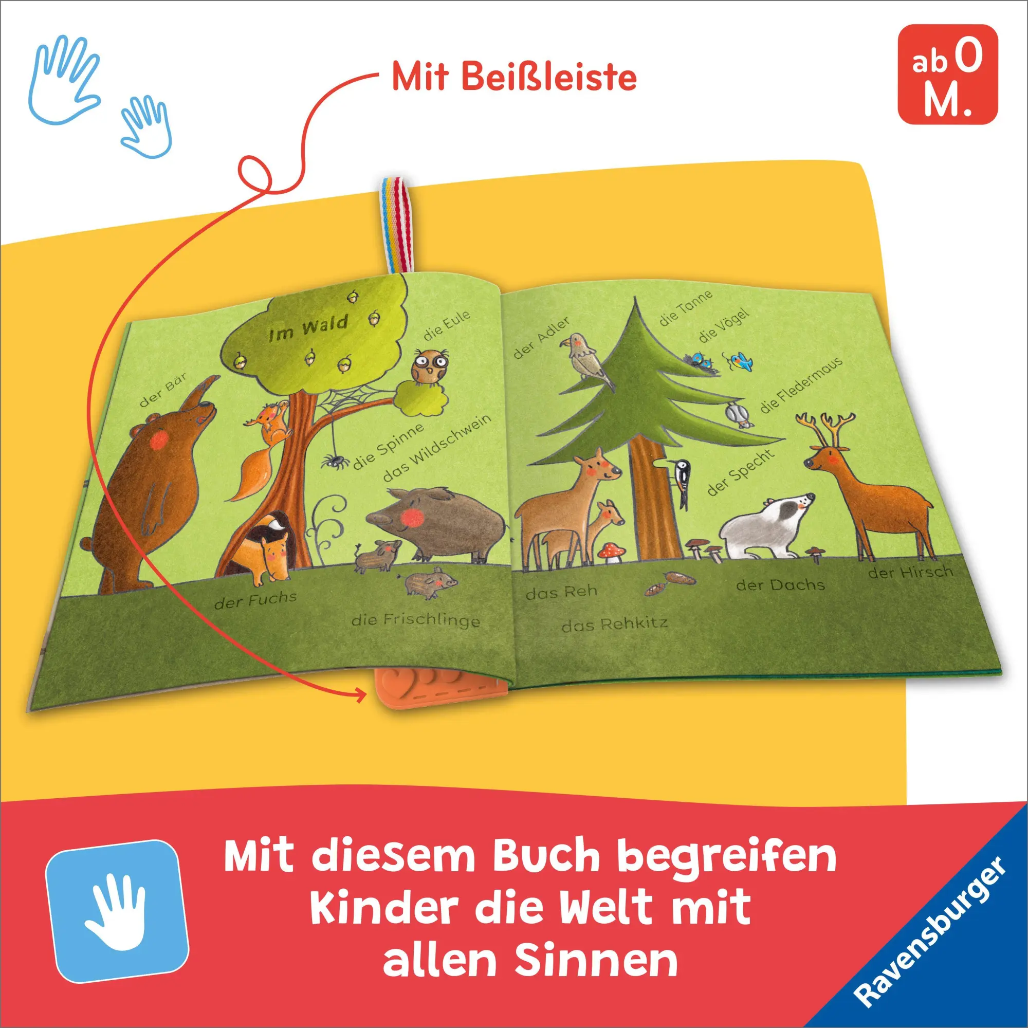 Bild: 9783473422234 | Mein Knuddel-Knautsch-Buch: flip&amp;pop. Meine Tiere | Martina Badstuber
