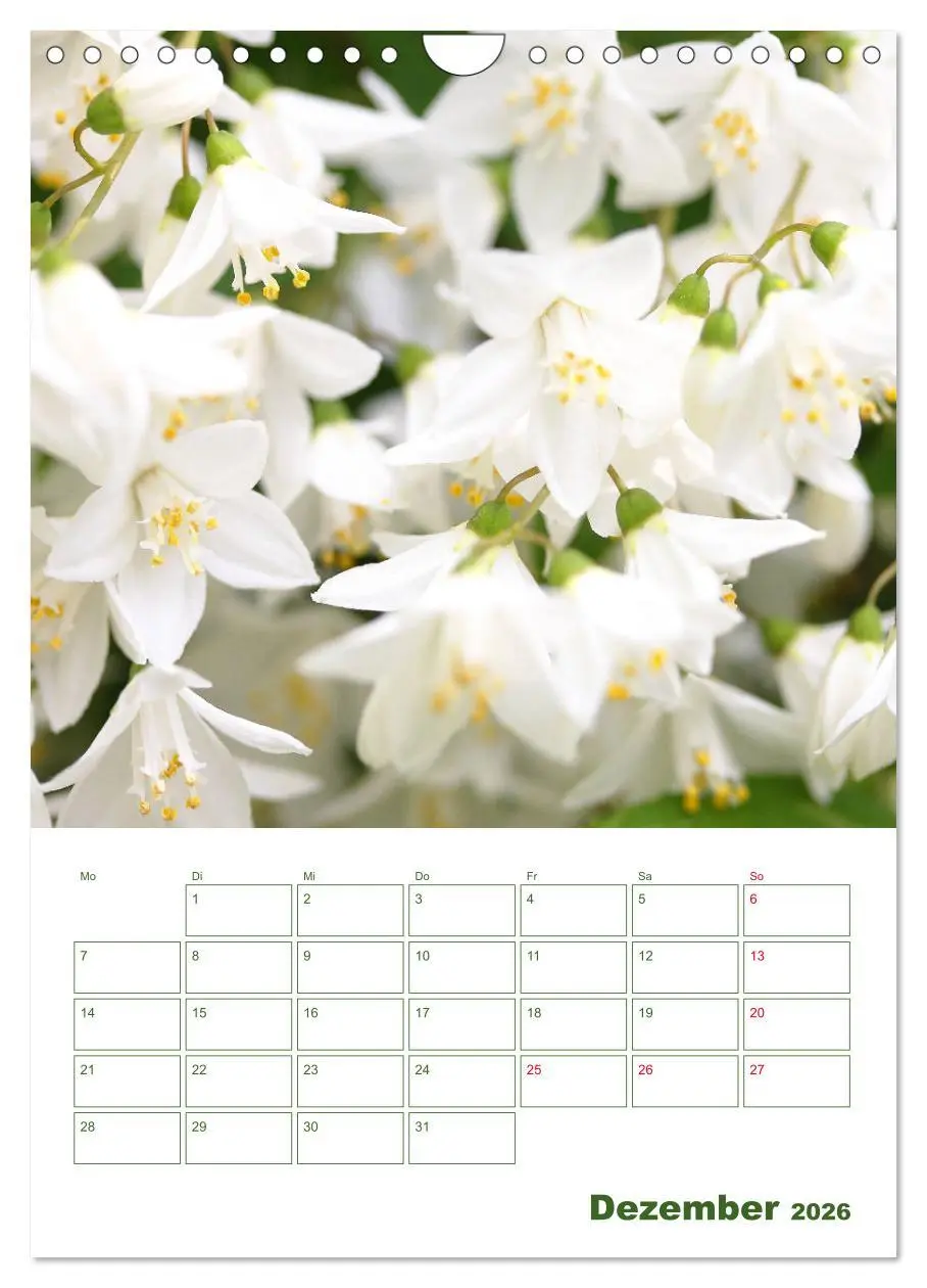 Bild: 9783516392234 | Weiße Blüten im Grünen (Wandkalender 2026 DIN A4 hoch), CALVENDO...