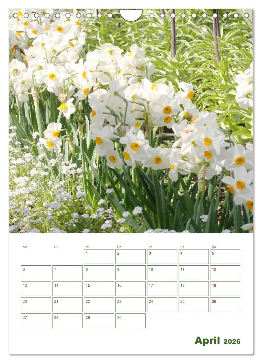 Bild: 9783516392234 | Weiße Blüten im Grünen (Wandkalender 2026 DIN A4 hoch), CALVENDO...