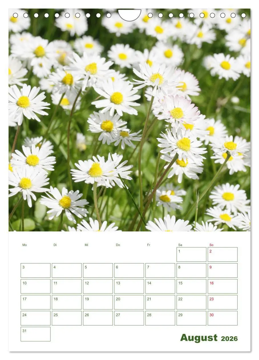 Bild: 9783516392234 | Weiße Blüten im Grünen (Wandkalender 2026 DIN A4 hoch), CALVENDO...