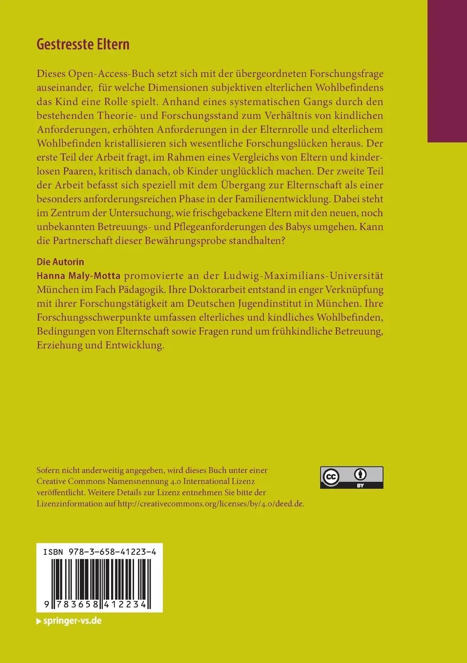 Rückseite: 9783658412234 | Gestresste Eltern | Hanna Maly-Motta | Taschenbuch | Paperback | xviii