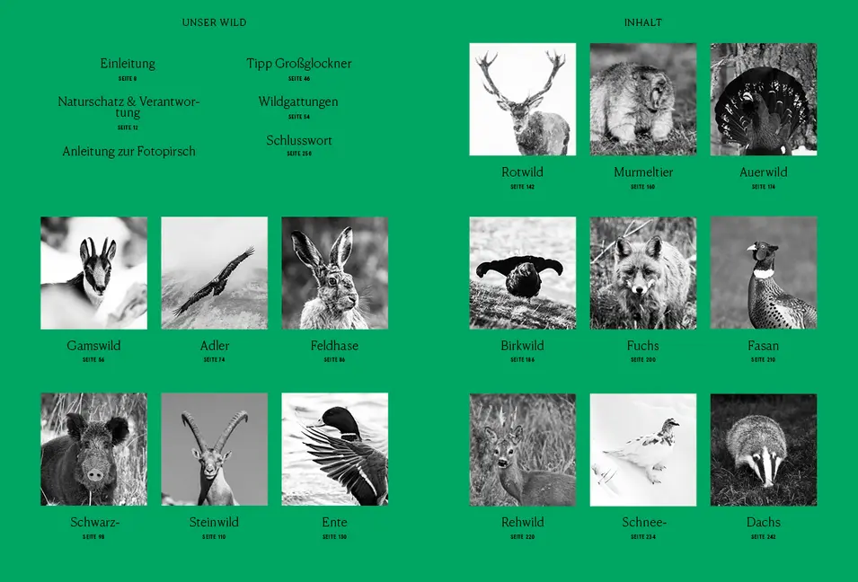 Bild: 9783710402234 | Unser Wild | Christoph Burgstaller | Buch | Mit Lesebändchen | 256 S.