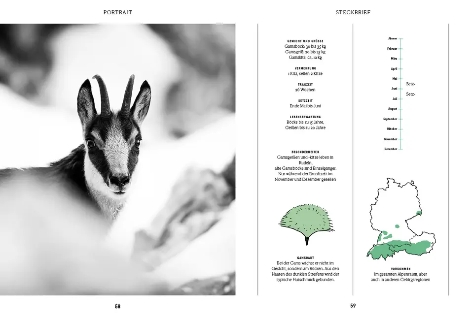 Bild: 9783710402234 | Unser Wild | Christoph Burgstaller | Buch | Mit Lesebändchen | 256 S.