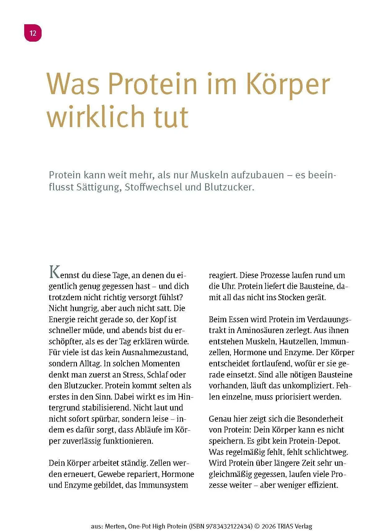 Bild: 9783432122434 | One-Pot High Protein | Laura Merten | Taschenbuch | 128 S. | Deutsch