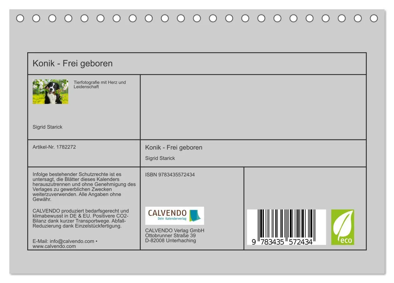 Bild: 9783435572434 | Konik - Frei geboren (Tischkalender 2025 DIN A5 quer), CALVENDO...