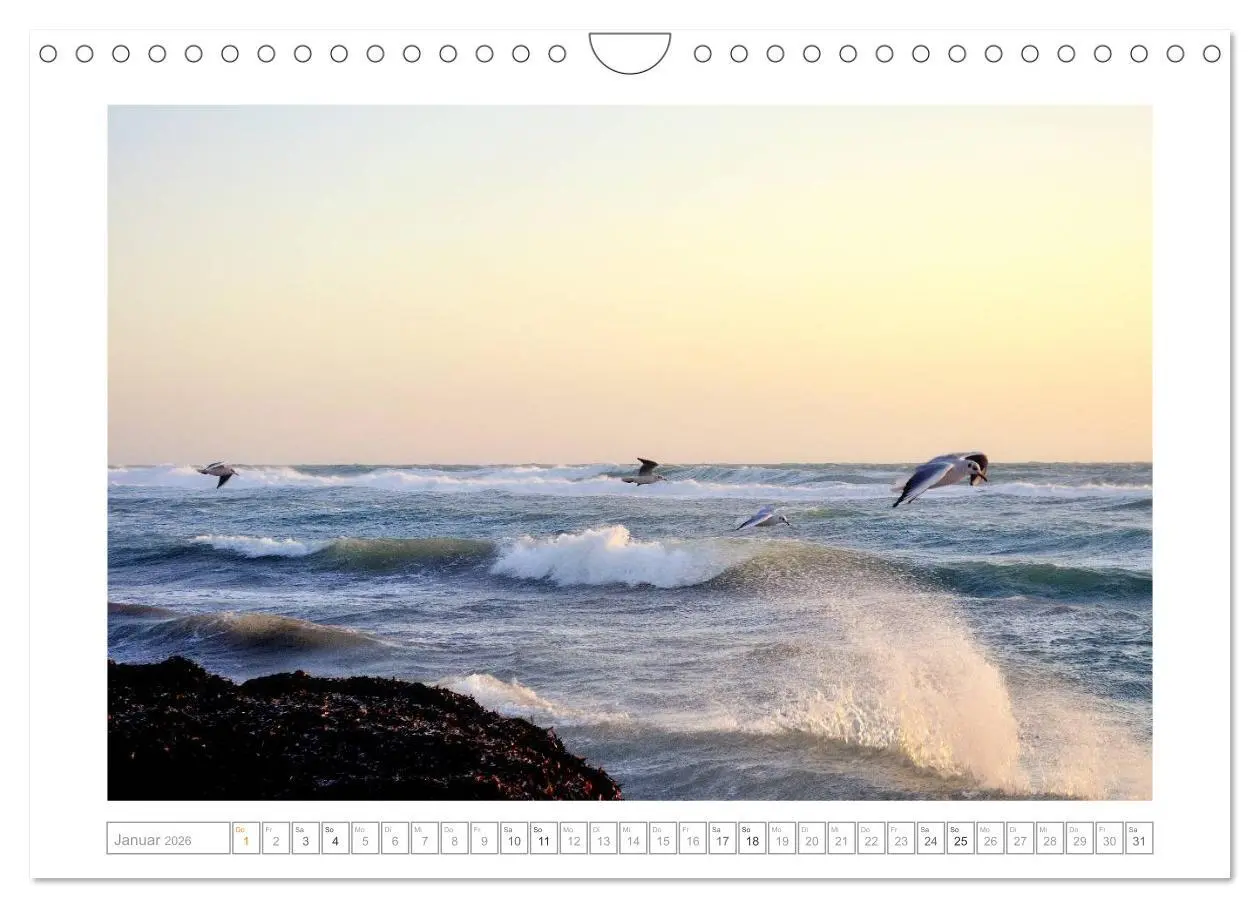 Bild: 9783457592434 | SALENTO das Meer - il Mare neu (Wandkalender 2026 DIN A4 quer),...