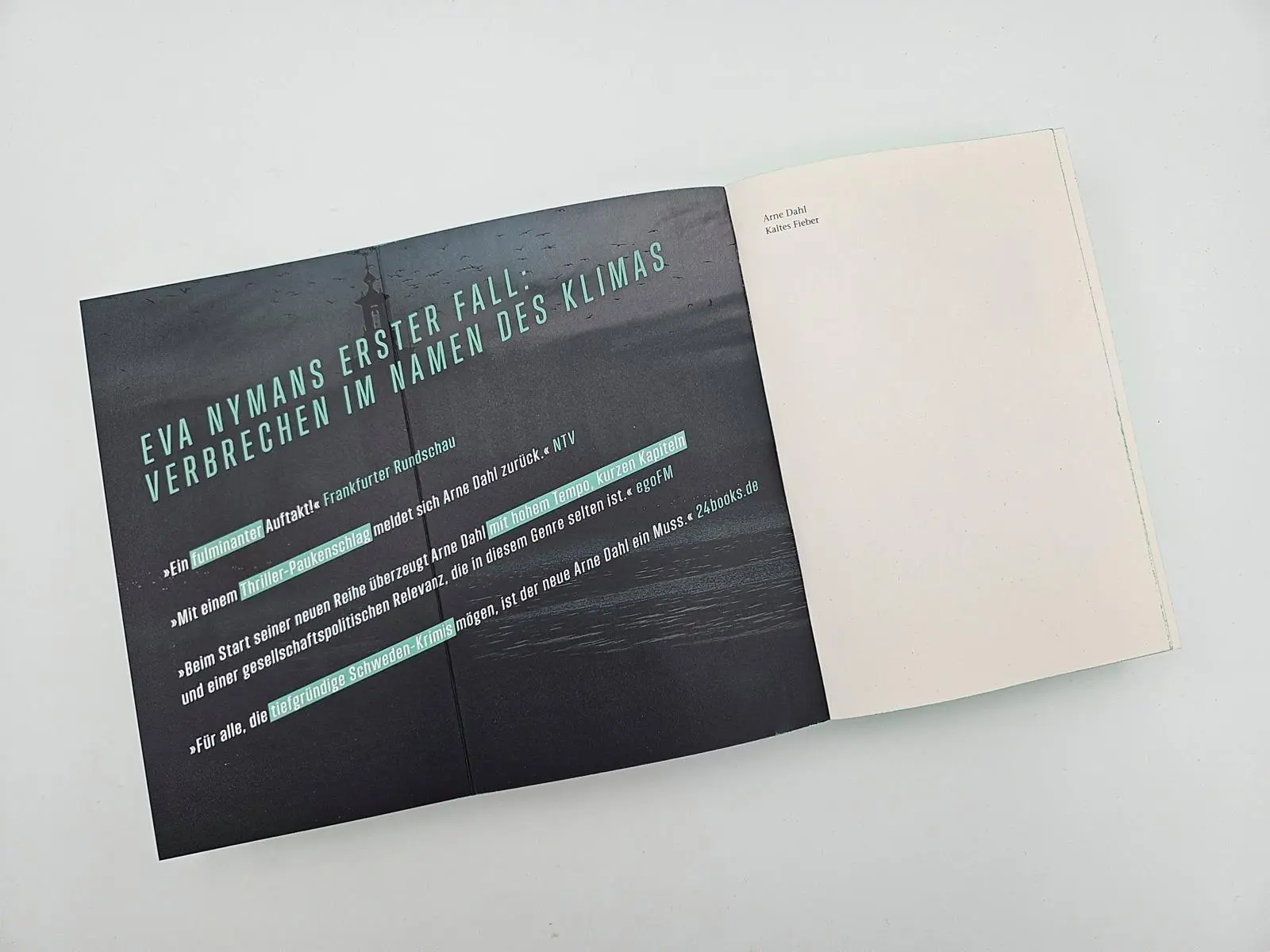 Bild: 9783492072434 | Kaltes Fieber | Arne Dahl | Taschenbuch | Eva Nyman ermittelt | 416 S.