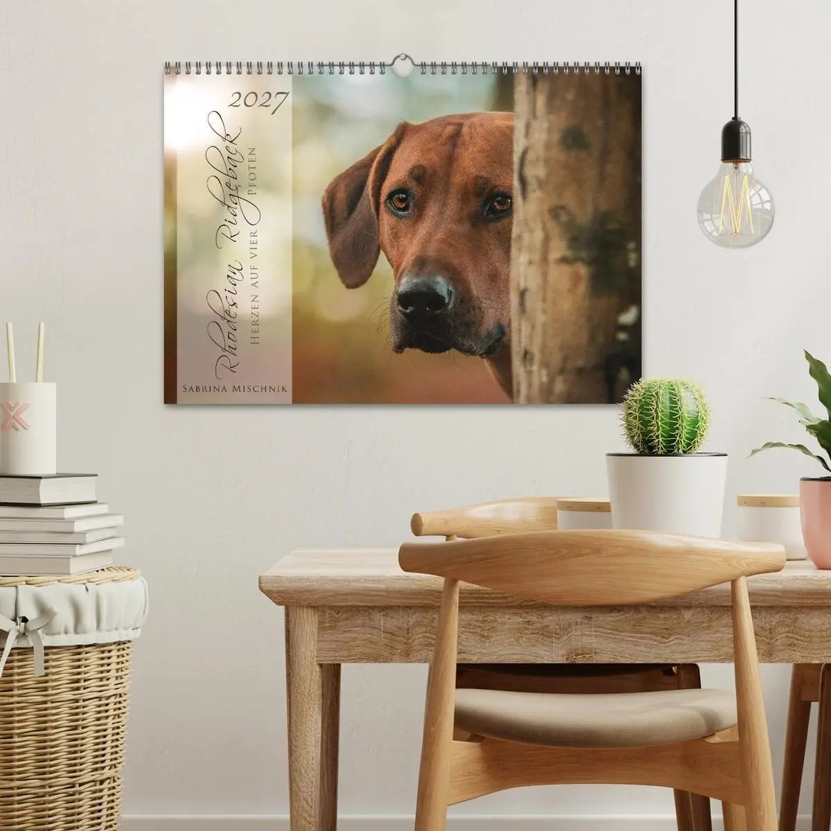 Bild: 9783569772434 | Rhodesian Ridgeback - Herzen auf vier Pfoten (Wandkalender 2027 DIN...