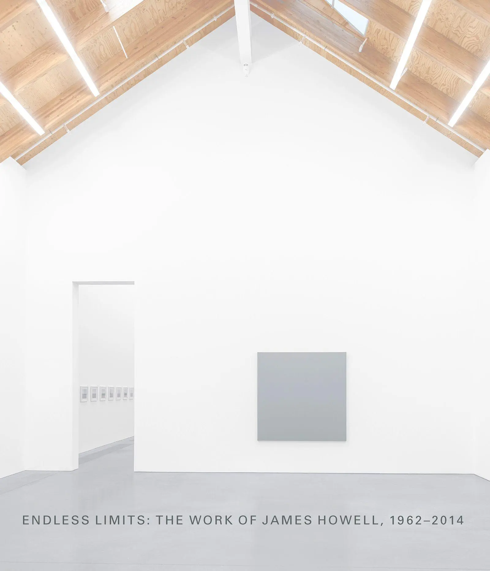 Cover: 9783775762434 | Endless Limits: The Work of James Howell, 1962-2014 | Jason Rosenfeld