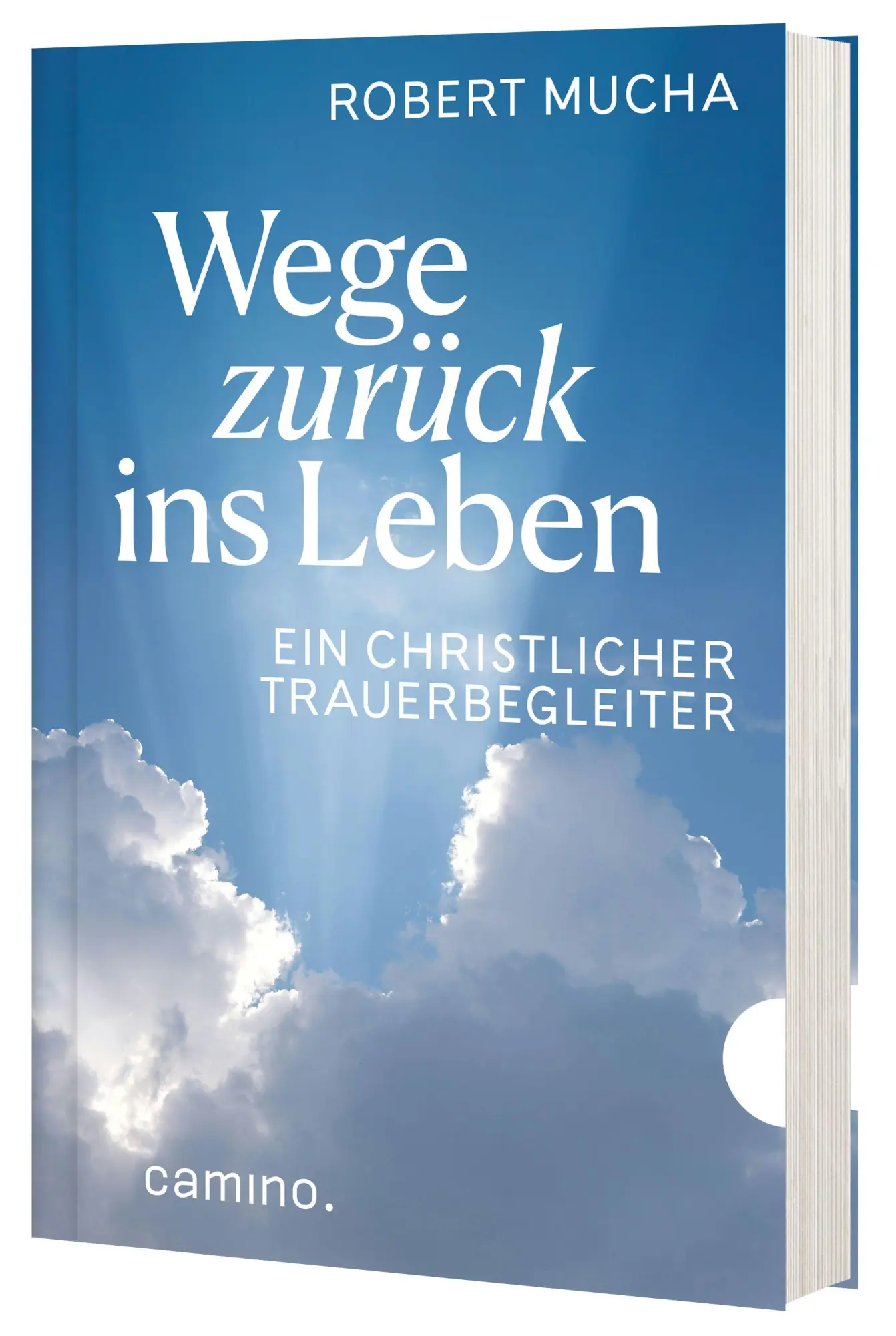 Cover: 9783961572434 | Wege zurück ins Leben | Robert Mucha | Taschenbuch | 176 S. | Deutsch