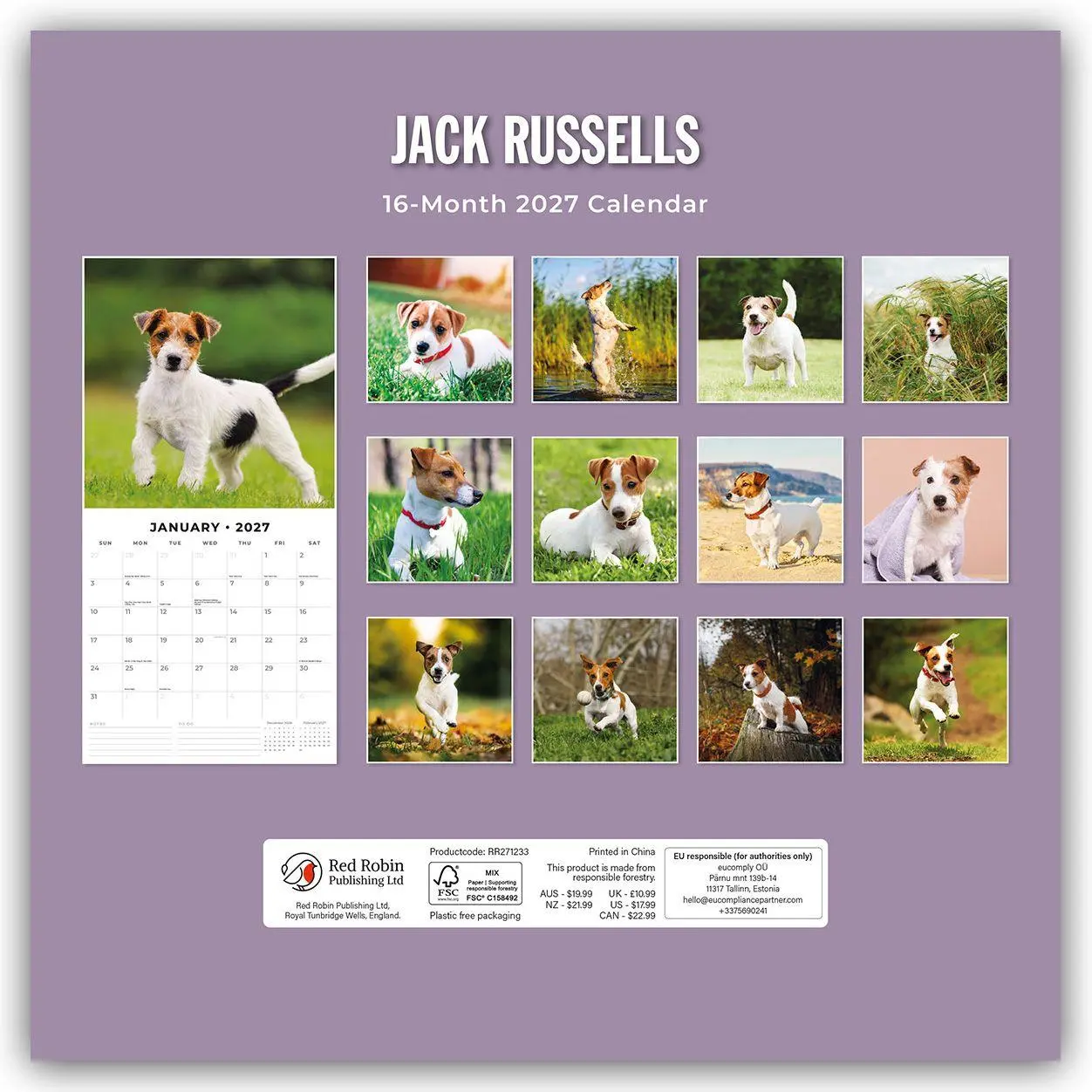 Rückseite: 9781837012534 | Jack Russells - Jack Russell Terrier 2027 - 16-Monatskalender | Red