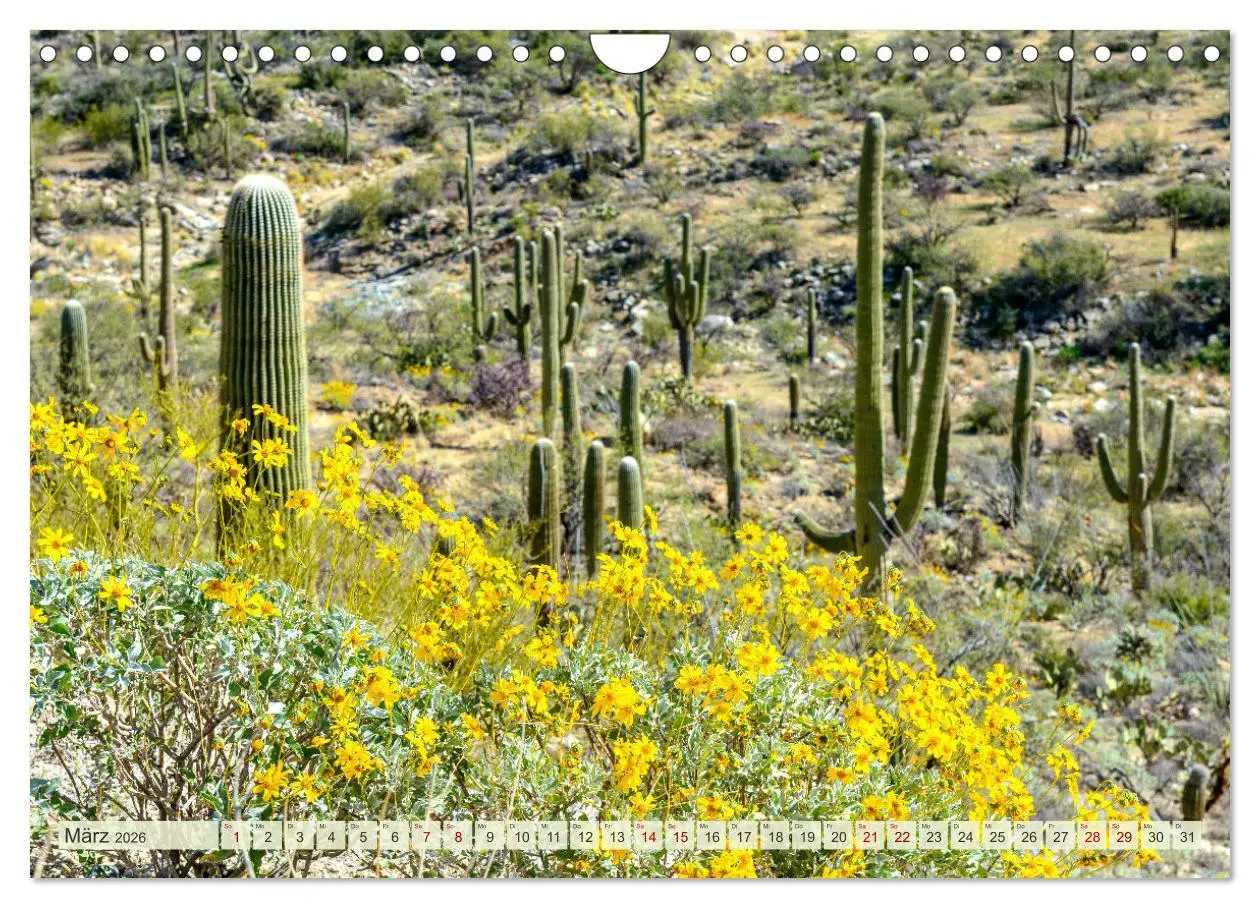Bild: 9783457272534 | Unterwegs in ARIZONA (Wandkalender 2026 DIN A4 quer), CALVENDO...