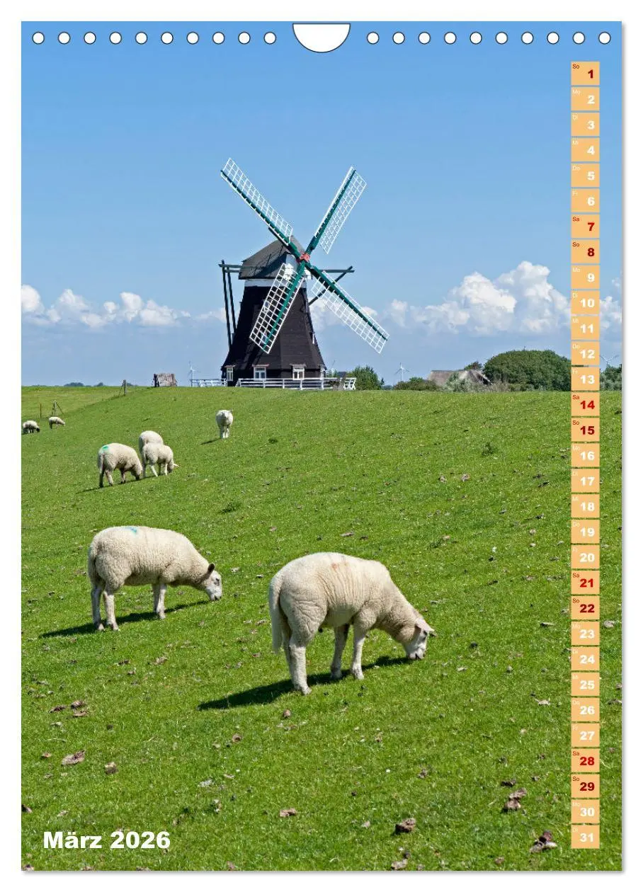 Bild: 9783516362534 | Deutschlands historische Windmühlen (Wandkalender 2026 DIN A4...
