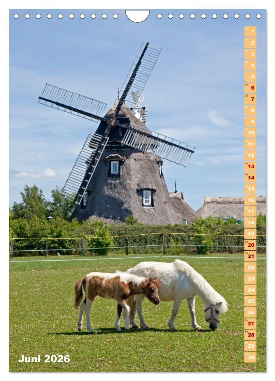 Bild: 9783516362534 | Deutschlands historische Windmühlen (Wandkalender 2026 DIN A4...