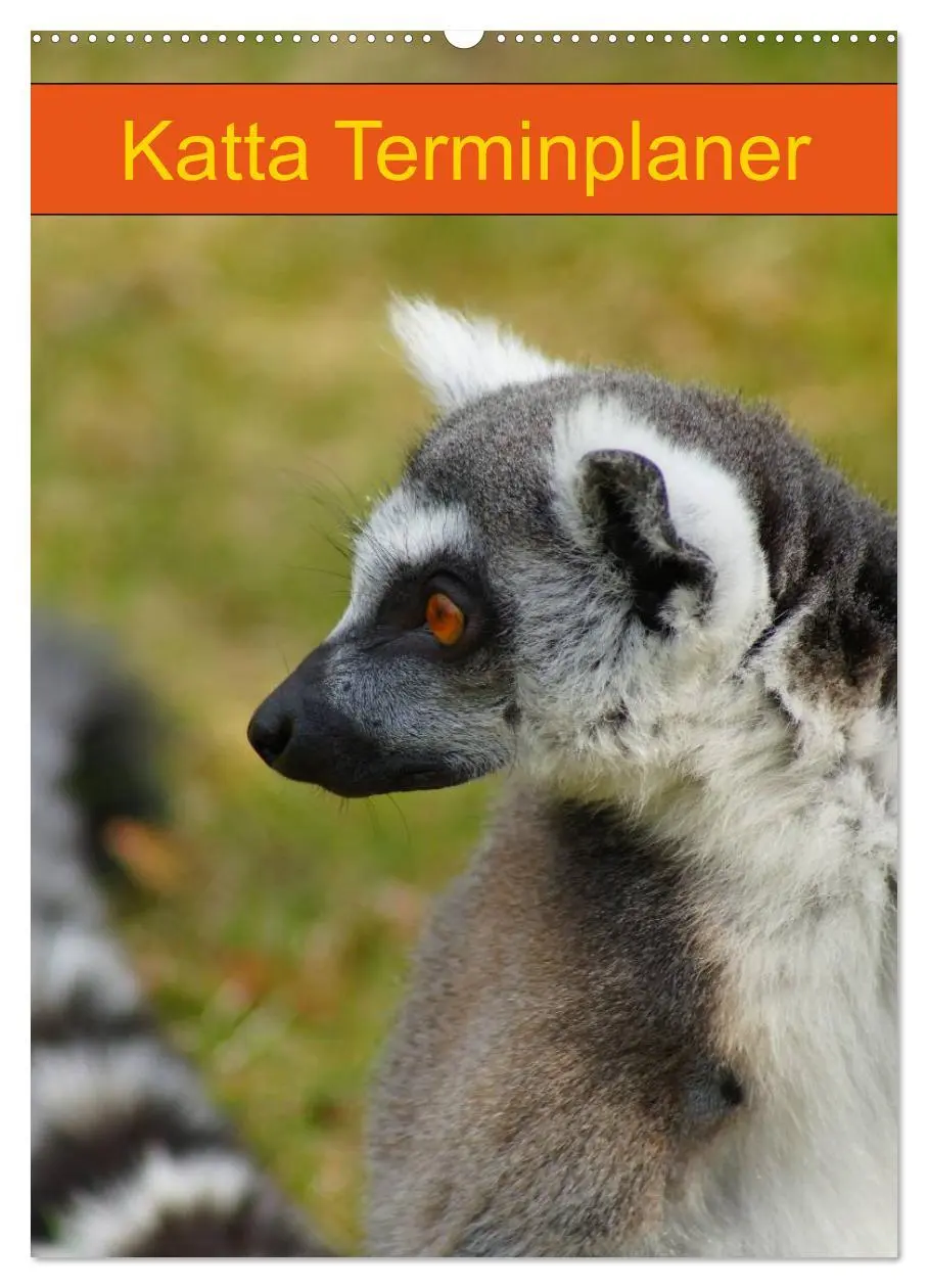 Cover: 9783516432534 | Katta Terminplaner (Wandkalender 2026 DIN A2 hoch), CALVENDO...