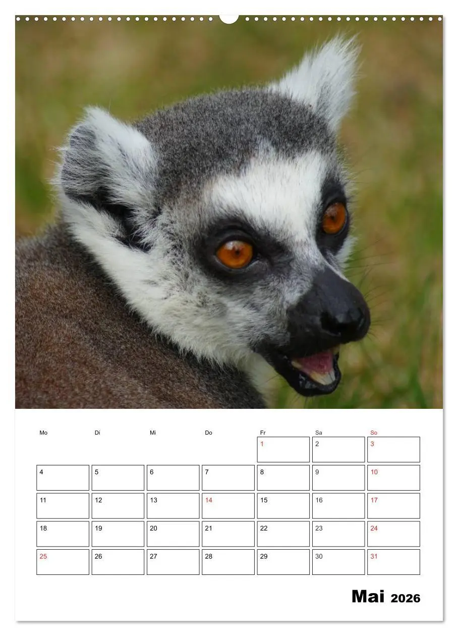 Bild: 9783516432534 | Katta Terminplaner (Wandkalender 2026 DIN A2 hoch), CALVENDO...
