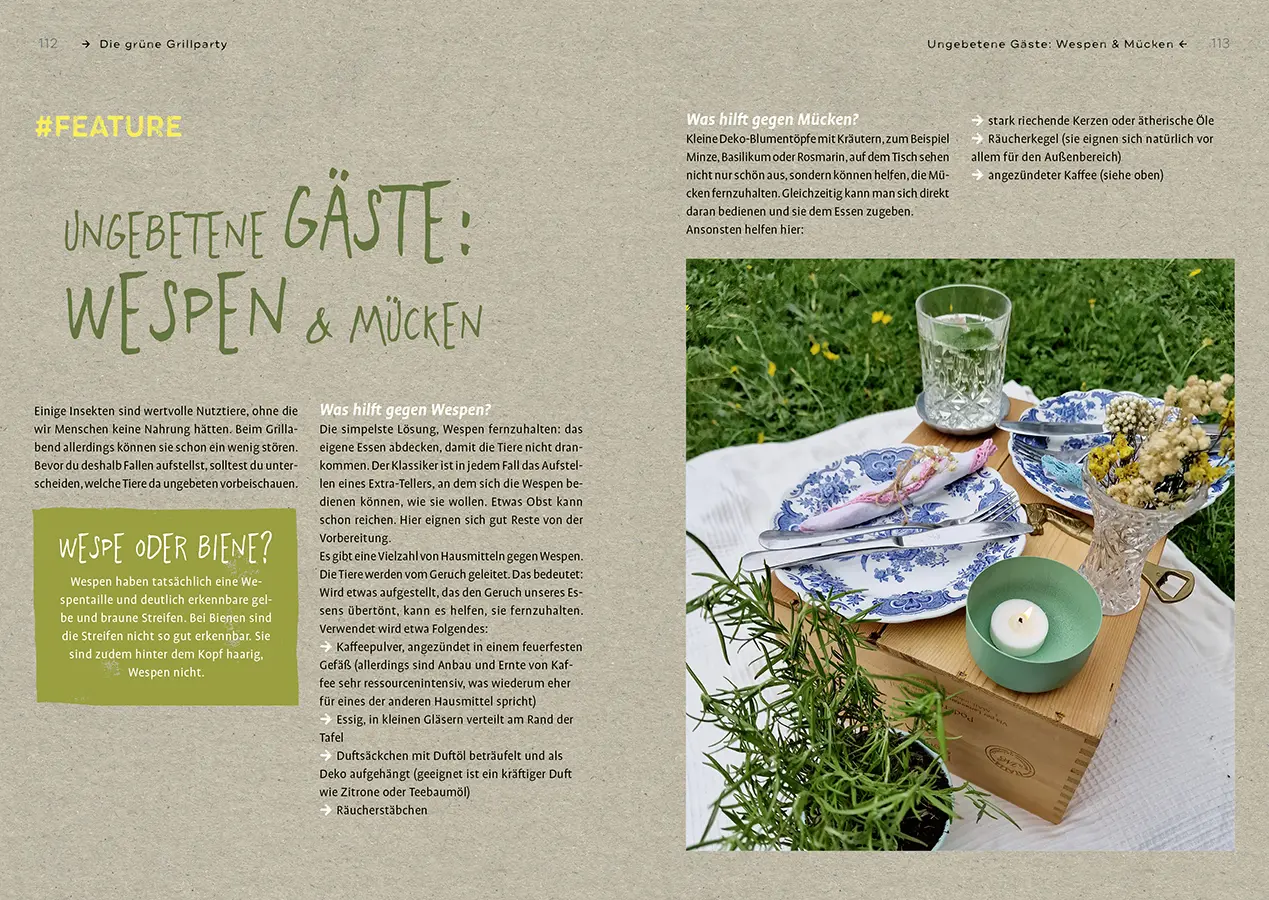 Bild: 9783818622534 | Grüner grillen | Anke Schmidt | Taschenbuch | Klappenbroschur | 128 S.