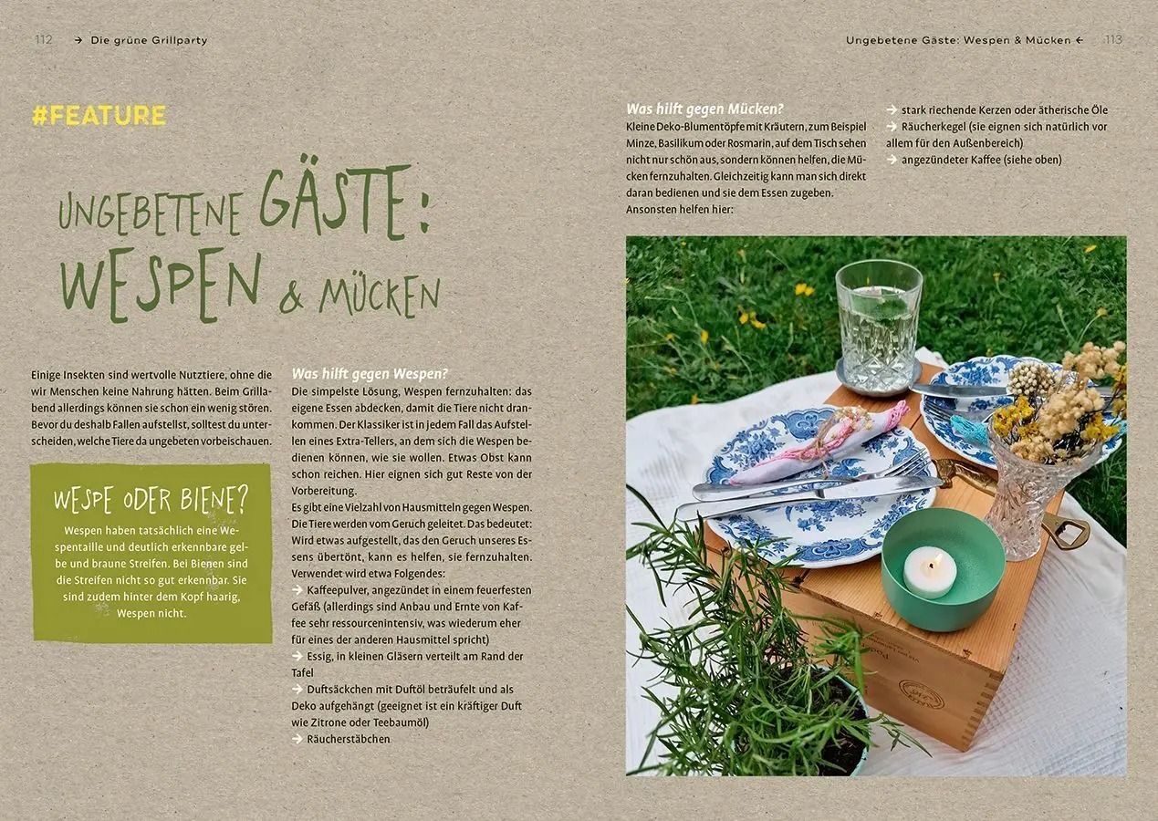 Bild: 9783818622534 | Grüner grillen | Anke Schmidt | Taschenbuch | Klappenbroschur | 128 S.