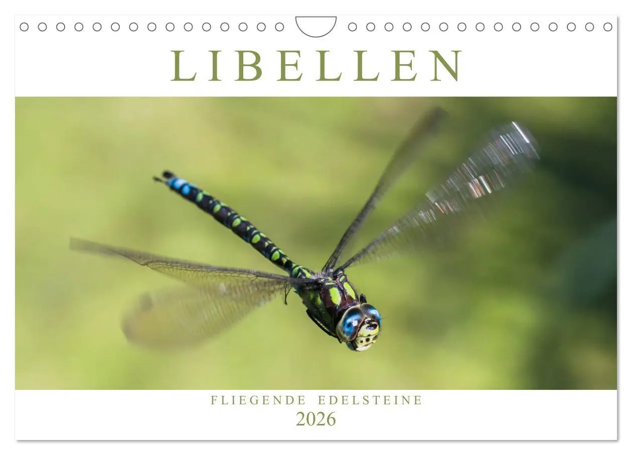 Cover: 9783516112634 | Libellen - Fliegende Edelsteine (Wandkalender 2026 DIN A4 quer),...