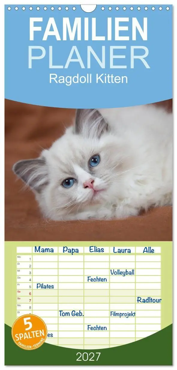 Cover: 9783594332634 | Familienplaner 2027 - Ragdoll Kitten mit 5 Spalten (Wandkalender,...