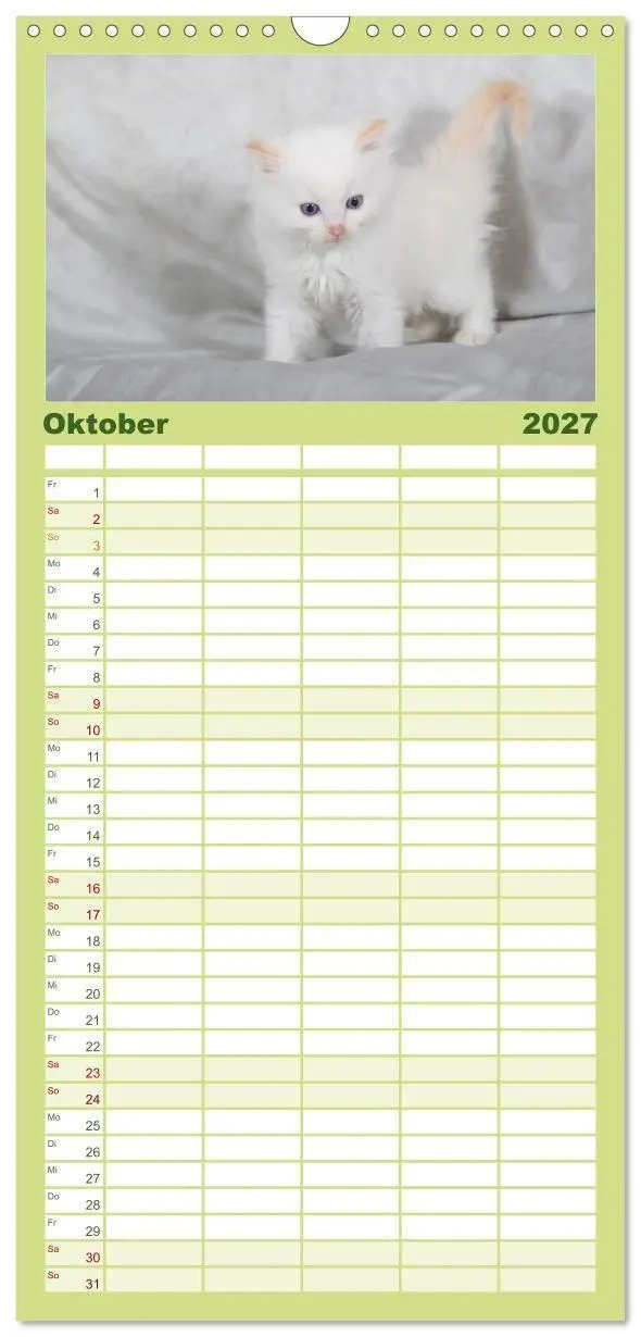 Bild: 9783594332634 | Familienplaner 2027 - Ragdoll Kitten mit 5 Spalten (Wandkalender,...